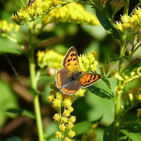 Le Ru Du Passage 別荘 サルト・レ・スパ