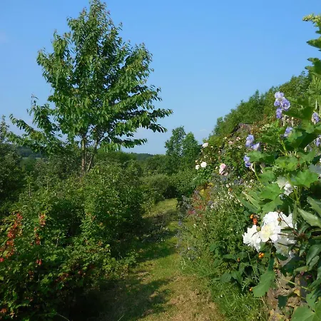Le Ru Du Passage * Sart-lez-Spa